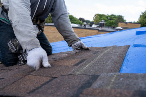 Best Roof Waterproofing  in Perryopolis, PA
